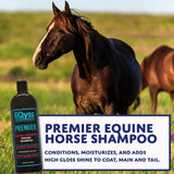 (3 Pack) EQyss Premier Equine Horse Shampoo - Conditions and Moisturizes Coat. Enhances Color and Shine. 32 oz.