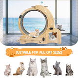 55" Large Cat Wheel for Indoor Cats, 6-in-1 Multifunctional Cat Treadmill with Cat Bed, Scratching Board, Detachable Mat, Climbing Frame & Toys, Ideal for Running, Walking & Daily Training