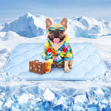 Pet Cooling Mats for Dogs, Cooling Pet Bed Outdoor & Indoor Use with Ice Silk Fabric & Waterproof Cover, Summer Cool Pad for Dogs Cats 29" x 18", Non-Slip Washable Pet Blanket for Crate Kennel Travel