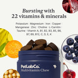 PetLab Co. 22-in-1 Multivitamin Chews for Dogs, Pork Flavor