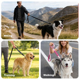 Heavy Duty Dog Leash, 5FT Wide 2.5cm Shock Absorbing Dog Leashes with Zinc Alloy Clip, Comfortable Handle,Training Leash for Medium Large Dogs