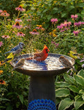 LITUDISO Ceramic Bird Bath for Outdoors – 21.5 Inch Heavy Duty, Diamond Blue Design for Garden & Patio Décor, Perfect for Bird Watching & Outdoor Spaces
