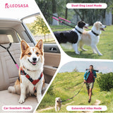 LEOSASA Double Dog Leash - No Tangle Splitter for Two Dogs, Coupler with Adjustable Long Lead Rope, Dual Control Handles, Retractable No Pull Bungee, Walk Train Small Medium Large 2 Pets (Fuchsia)