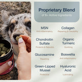 Hip & Joint Dog Chews, Glucosamine & Green Lipped Mussel, 90 Count