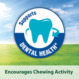 Kaytee Timothy Biscuits Baked Treat for Pet Guinea Pigs, Rabbits & Other Small Animals, Carrot, 4 oz