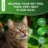 Probiotics for Cats for Digestive Support – Cat Probiotics for Indoor Cats Help with Colic, Upset Stomachs, Diarrhea, Gas, and Bloating – Prebiotics + Pleasant Chicken Flavor Inside – 2 Oz