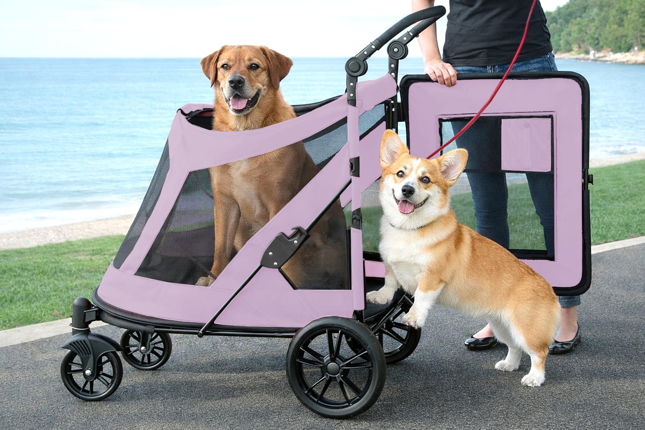 pet gear excursion no zip dog & cat stroller Pet Gear NO-Zip Pet Stroller with Dual Entry, Push Button Zipperless E – Dog Pawshop