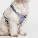 Fei & Eve Moxie H-Shape Dog Harness | Ultra-Lightweight | 3-Leash System for No-Pull Control | Easy On-Off | Adjustable 210D Breathable Nylon | Soft Padded Lining, Dusk Blue, S