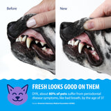 Dental Fresh Water Additive for Dogs and Cats, Advanced Formula, 8 Fl Oz, Plaque & Tartar Daily Oral Care Just Add to Water