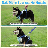 Blue Dog Harness Leash Collar Set, No Pull Reflective Dog Vest Harness with Control Handle, Adjustable Breathable Pet Harness for Small Medium Dogs Walking Training