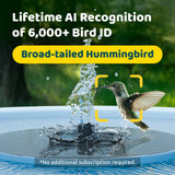 Birdfy Smart Bird Bath with Camera, Solar Powered, Dual-Lens 2K AI Bird ID