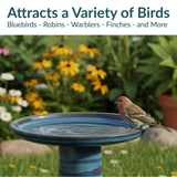 Sunnydaze 21" H Ceramic Bird Bath for Outside - Hand-Painted Outdoor Bird Bath Bowl, UV/Frost-Resistant Finish - Galaxy Blue