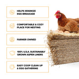 Eaton Pet and Pasture, Premium Laying Hen Nesting Pads, USA Grown & Sustainably Harvested, 13 x 13 (10 Pack)