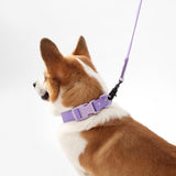 THE LICKER Store WLK1005H-5SET Luna Medium 8FT Adjustable 6-in-1 Waterproof Hands-Free Leash and Collar with LED Flashlight, Bag Dispenser, and Poop Bag Holder, Bramble