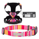 Lucky Love Dog Bundle - Small No Pull Dog Harness & Adjustable Collar, in Stylish Molly Pattern, Durable & Comfortable for Pet Dogs, Suitable for Puppies & Adult Dogs
