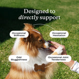 PetLab Co. Joint Care Chews for Dogs, 30 Soft Chews, Pork