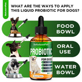 Probiotics for Dogs | Liquid Probiotics for Dogs and Puppies | Prebiotic & Digestive Enzymes | Gut Flora Support and Digestive Care | Bacon Taste | 2 Oz