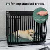 BALANCE Dog Crate Bed, Orthopedic Dog Bed Pad with Waterproof Liner, Washable Crate Foam Pet Mat for Large, Medium, Puppy Dogs Breeds, Mint Leaf, 30"x19"x1.6"