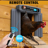GROPOW Automatic Chicken Coop Door, Extra Large Size, Anti-Pinch Design,Programmable Timer & Light Sensor Modes, Large LCD Display, Solar Powered Auto Chicken Door Opener (50m)