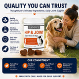 LANDCE Hip and Joint Supplement for Dogs, Glucosamine & MSM, 200 Soft Chews