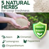 Buff Clucks Dust Bath Herb Blend for Chickens - Keep Feathers Clean & Healthy - Food Grade, Natural Nesting Box Herbs for Bedding, Coop Floor, USA (12 oz)
