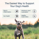 Hip & Joint Dog Chews, Glucosamine & Green Lipped Mussel, 90 Count