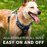 Embark No Pull Dog Harness, Reflective Adjustable Training Vest, No Choke