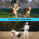 PetBonus Double Dog Leash, No Tangle Dual Leash, Walking Training Lead
