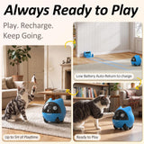 onlypet Pet Camera Robot, 2K Pet Camera Indoor with Phone App for Cat & Dog
