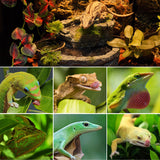 REPTI ZOO Reptile Water Fountain with Food Dish, 550ML Terrarium Waterfall Drinking Fountain for Bearded Dragon Gecko Chameleon Lizard Tree Frog Turtle, Reptile Water Dispenser, Keep Water Clear