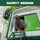 Omlet Automatic Chicken Coop Door Opener Operated by Light Sensor or Timer | Easy to Install, No Maintenance Required | Improves Coop Security and Insulation | Built-in Safety Sensors | Green