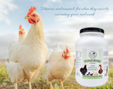 Fresh Eggs Daily Coop Kelp Supplement for Backyard Chickens and Ducks – Natural Egg Quality Booster for Vibrant Orange Yolks & Stronger Shells – Vitamin & Mineral Poultry Feed Additive, 7lbs