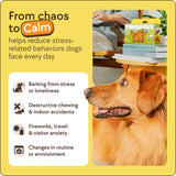 TherapetMD 60-Day Dog Calming Diffuser - for Stress, Destructive Behavior, Pee Accidents, Separation Anxiety, Barking, Aggression & Chewing - 60-Day Refill Included - Packaging May Vary