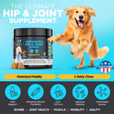 Googipet Premium Hip and Joint Supplement for Dogs - Glucosamine Soft Chews w/Green Lipped Mussels for Dogs, Dog Joint Supplement Turmeric for Mobility, Ages, & Breeds