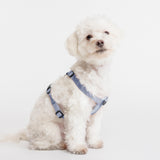Fei & Eve Moxie H-Shape Dog Harness | Ultra-Lightweight | 3-Leash System for No-Pull Control | Easy On-Off | Adjustable 210D Breathable Nylon | Soft Padded Lining, Dusk Blue, S