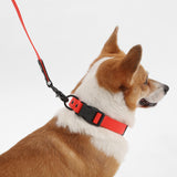 THE LICKER Store WLK1005M-5SET Luna Medium 8FT Adjustable 6-in-1 Waterproof Hands-Free Leash and Collar with LED Flashlight, Bag Dispenser, and Poop Bag Holder, Shirley