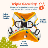 Petgrove Step in Small Dog Harness and Puppy Harness – No Pull No Choke Reflective Mesh Vest with Front & Back Clips for Tiny XXS and Extra Small Dogs (Modern Dog, XXXS)