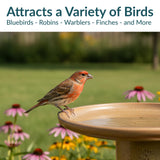 Sunnydaze 21" H Ceramic Bird Bath for Outside - Hand-Painted Outdoor Bird Bath Bowl, UV/Frost-Resistant Finish - Lemon Cognac
