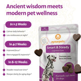 Ayourpets Calming Cognitive Chews for Senior Dogs with Anxiety, Memory & Brain Support – Holistic Herbal Ashwagandha, Brahmi & Omega-3 – Fish Flavor – 90 Count