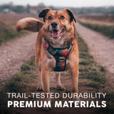 Embark No Pull Dog Harness, Reflective Adjustable Training Vest, No Choke