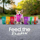 smallbatch Freeze Dried Dog Treat or Topper with Probiotics, Beef 7oz