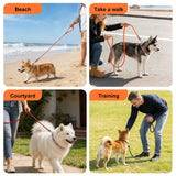 5FT Nylon Waterproof Dog Leash, Durable Strong Odor-Proof Dog Leashes with Zinc Alloy Clip, Walking, Beach, Yard, Swimming, Training Leash for Small, Medium & Large Dogs Blue