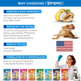 Gargeer Picky Geck - Parent 2