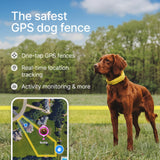 Halo Collar 5 GPS Wireless Dog Fence, Midnight