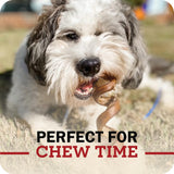 Redbarn Pet Products Straight 5" Bully Sticks - Long Lasting Dog Chew, All Natural Bully Bones (50-Count)