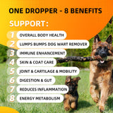 Turkey Tail Mushroom Liquid for Dogs 3000mg - Highly Concentrated Formula Support for Itch, Wart, Lumps Lipoma - Mushroom Extract Blended with Turmeric, 2B Probiotics & 10 Vitamins for All Dogs & Cats