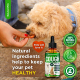 Kennel Cough Medicine for Dogs & Cats – Kennel Cough Treatment Helps with Allergies & Sneezing – Herbal Supplement with Mullein Leaf, Angelica Root, Calendula Breeds – 2 Oz
