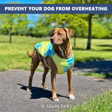 Spark Paws Dog Cooling Vest - SPF 50 UV Sun Protection - Summer Heat Relief Gear for Dogs, Lightweight, Evaporative Cooling - Dog Anxiety Relief Vest During Hot Days - Tropical Storm, Large