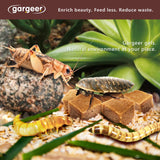 Gargeer Bundle of Bearded Dragon Complete Gel Diet Food + Bugs & Insect Gel Food - Premium Formulas in one Set, Proudly Made in The USA