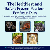MiceDirect 30 Frozen Large Feeders Snake Food for Adult Red Tail Boas (8-9 in)(5250 Grams Min)
